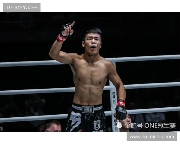 端岛诺伊九年后复仇成功战胜澳大利亚泰拳冠军金汤森重回巅峰